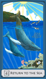 card3